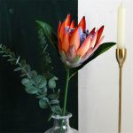 Fleur Protea rose artificielle pour décoration intérieure