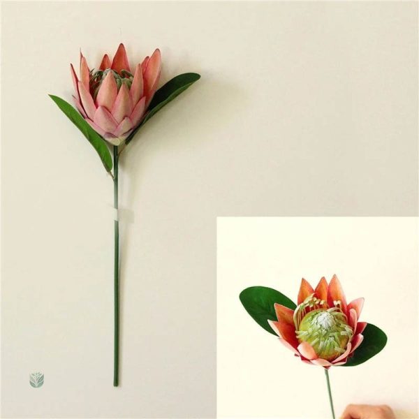 Fleur Protea, élégance et style pour votre maison
