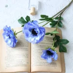Fleurs anémones pour arrangements floraux