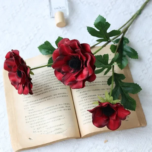 Fleurs anémones, ajout coloré pour votre maison