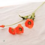 Coquelicots artificiels pour événements festifs