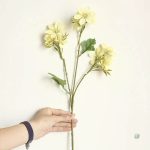 Fleurs décoratives faciles d'entretien
