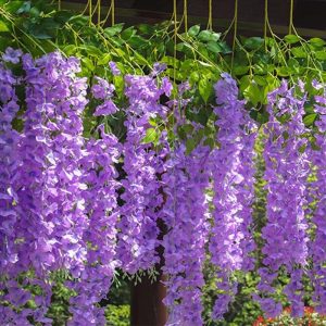 Fleurs Retombantes en plastique durable