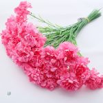 Fleurs Carnation, style intemporel et classique