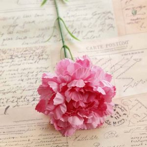Bouquet de fleurs Carnation, esthétique florale durable