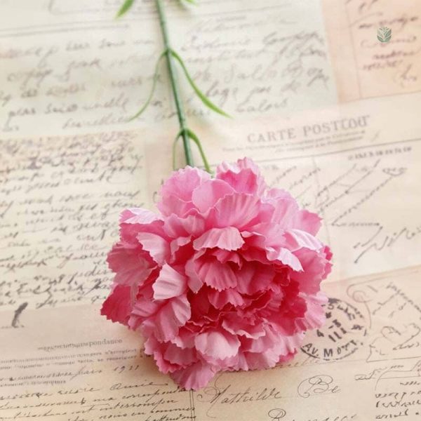 Bouquet de fleurs Carnation, esthétique florale durable