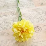 Carnation en tissu, allure naturelle et réaliste