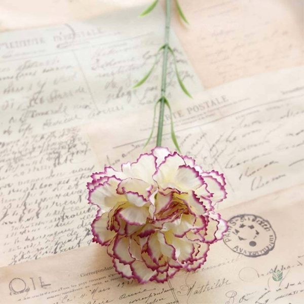 Bouquet coloré de Carnations, embellissement sans entretien