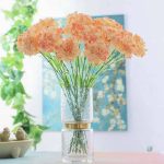 Fleurs Carnation, ajout vibrant à votre décoration