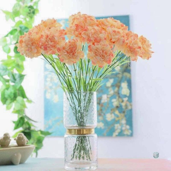 Fleurs Carnation, ajout vibrant à votre décoration