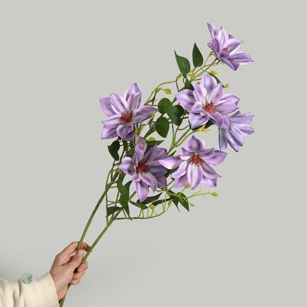 Clématites en fleurs, choix parfait pour embellir votre intérieur