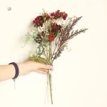 Fleurs de Cerisier Séchées, embellissement pour arrangements floraux