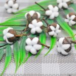 Coton séché, ajout délicat pour une ambiance chaleureuse