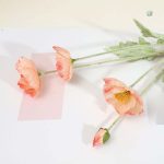 Bouquet de pavots colorés pour décoration intérieure