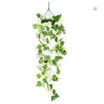Végétation tombante Morning Glory pour vos espaces intérieurs