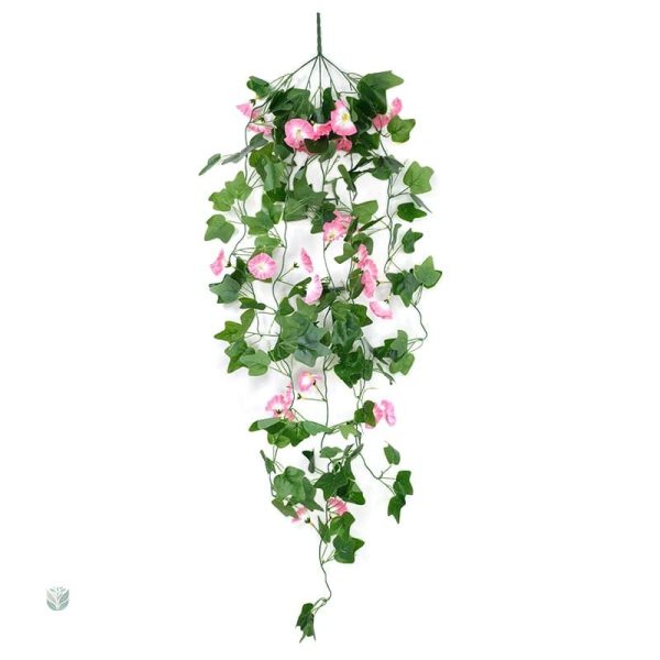 Fleurs Morning Glory en version décorative et élégante