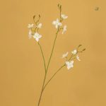 Fleurs Pieds D'alouette, pièce décorative pour bouquets