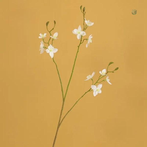 Fleurs Pieds D'alouette, pièce décorative pour bouquets