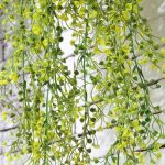 Fleurs tombantes colorées pour un décor vivant et dynamique