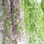 Fleurs tombantes à effet naturel pour un look moderne