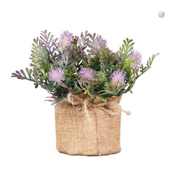 Plante décorative en pot, effet fougère