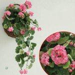 Géranium décoratif en tissu, look naturel, intérieur élégant