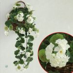 Plantes artificielles, géraniums vibrants, style moderne