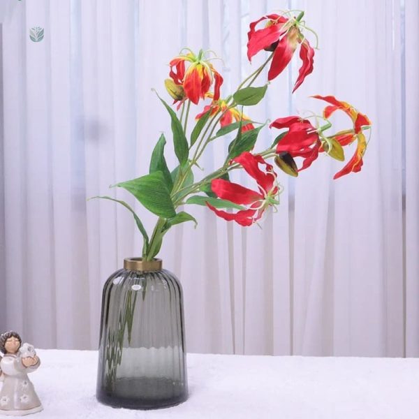 Gloriosa Superba - plante décorative vibrante