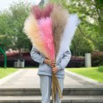 Grande Pampa Artificielle, une touche de nature synthétique