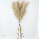 Décoration moderne avec Pampa Artificielle