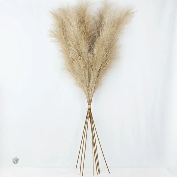 Décoration moderne avec Pampa Artificielle
