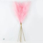 Pampa Artificielle, idéale pour un décor minimaliste