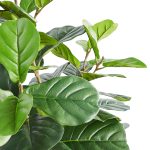 Grande Plante Intérieure Décorative en Pot