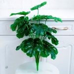 Grande plante d'intérieur, accessoire déco moderne