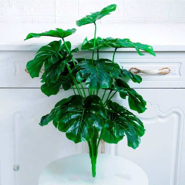 Grande plante d'intérieur, accessoire déco moderne