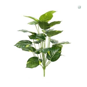 Plante verte décorative pour intérieur à petit prix
