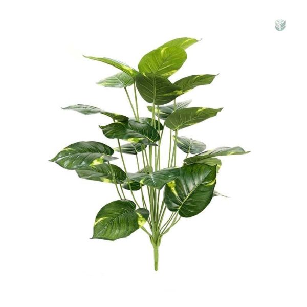 Plante verte décorative pour intérieur à petit prix