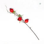 Branches artificielles avec grenades pour une touche automnale