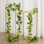 Guirlande de Citrons pour décoration intérieure