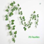 Feuilles de vigne pour décoration d'événements