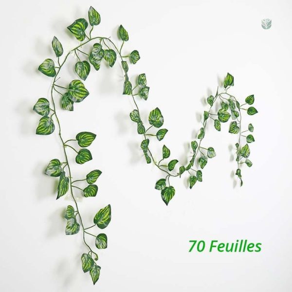Feuilles de vigne pour décoration d'événements