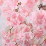 Guirlande de Fleurs de Cerisier en décoration