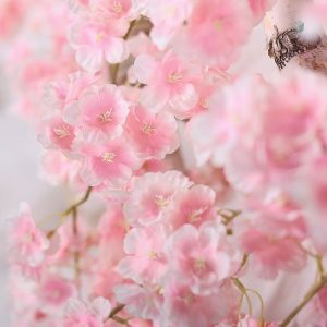 Guirlande de Fleurs de Cerisier en décoration