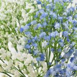 Décoration florale avec gypsophile artificielle subtile
