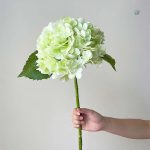 Arrangement floral : hortensia sophistiqué