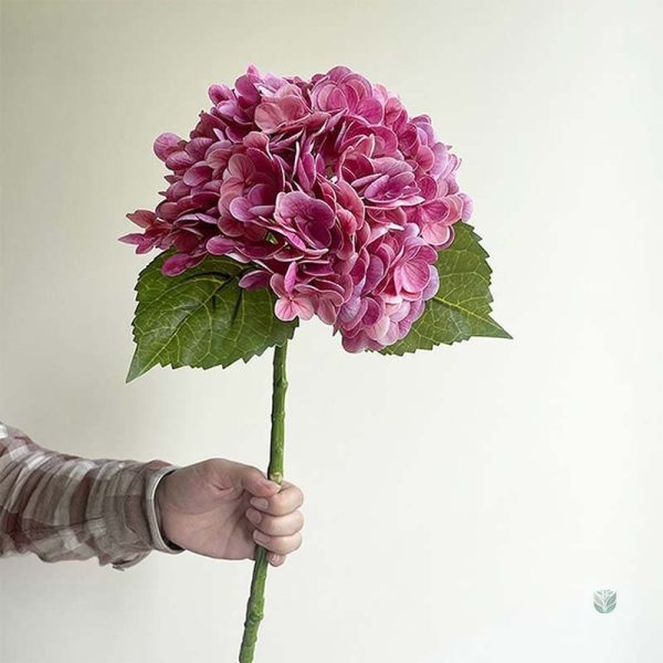 Hortensia haut de gamme pour un décor intemporel