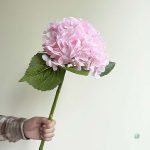 Décoration florale : hortensia haut de gamme