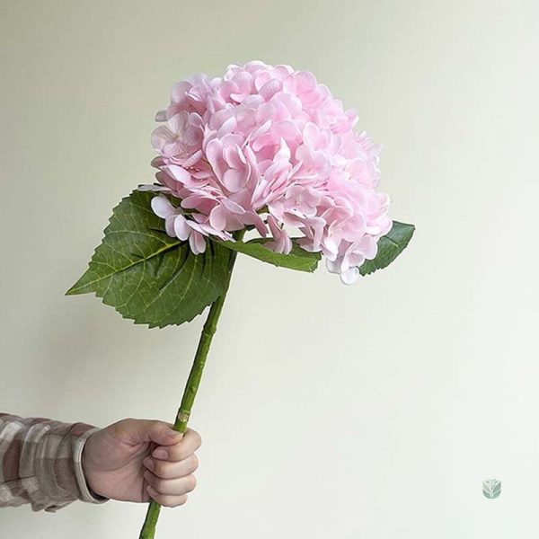 Décoration florale : hortensia haut de gamme