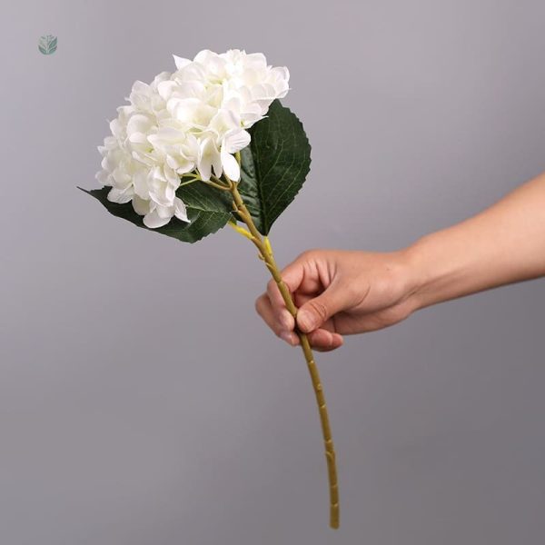 Hortensia en soie pour embellir votre espace