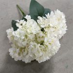 Bouquet d'hortensias blancs, touche de fraîcheur pour votre intérieur